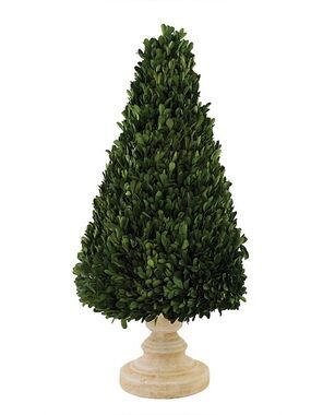 Ballard Designs Green Boxwood Cone Topiary on Pedestal